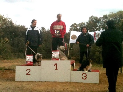 du grain de soleil - Sélectif du GPF: les Grains de Soleil sur le podium.