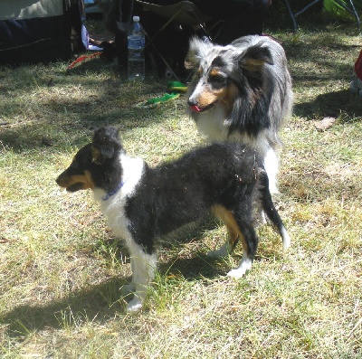 du grain de soleil - Briançon: 2 podiums pour Anakin et 3 exc pour Léa.