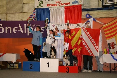 du grain de soleil - Léa et Anakin le Noir Champions de France d'Agility.