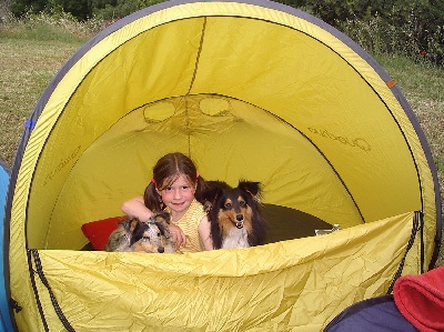 du grain de soleil - Concours d'agility d'Aubagne: 3 excellents et un podium.