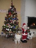  - Joyeux Noël 2012!