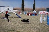  - Concours de la Côte Bleue.