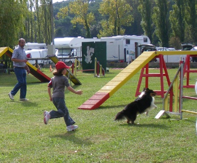 du grain de soleil - Concours d'Agility à Miramas.