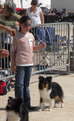 du grain de soleil - Spéciale de Race à Martigues.