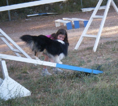 du grain de soleil - Léa démarre l'agility avec notre cher Anakin le Noir.