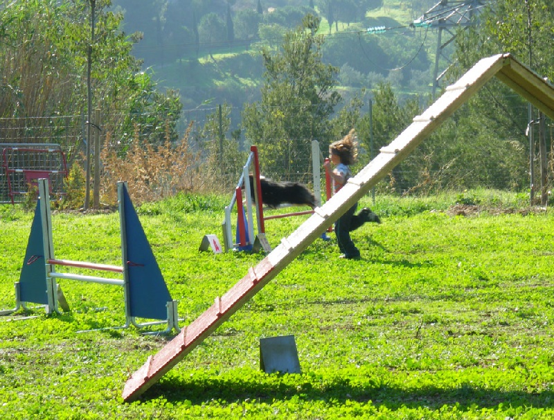 Concours d'agility de La Valette 26 Octobre 08.
