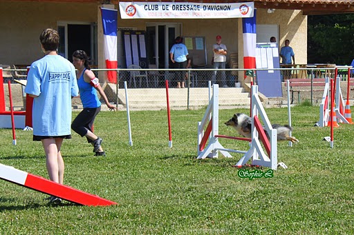 Sélectif GPF Midi Côte d'Azur 2011.